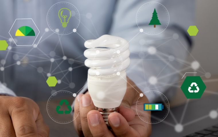 Sustainability elements surrounding an innovation bulb