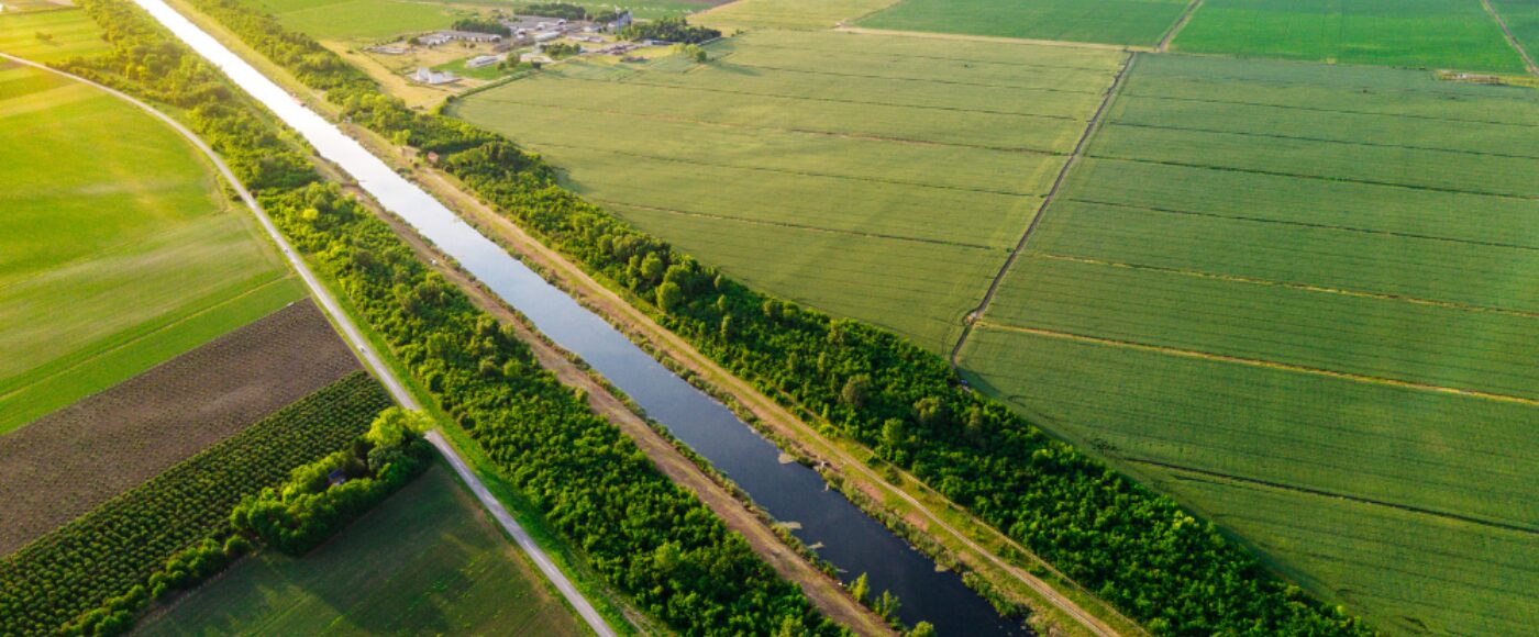 Natural resources for sustainable bio economy