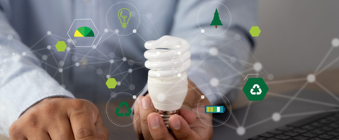 Sustainability elements surrounding an innovation bulb