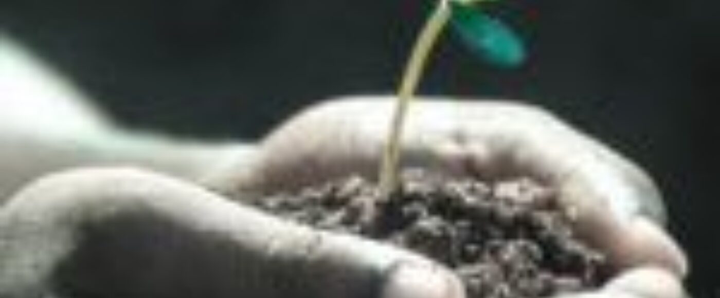 Growth in Hands 150x150