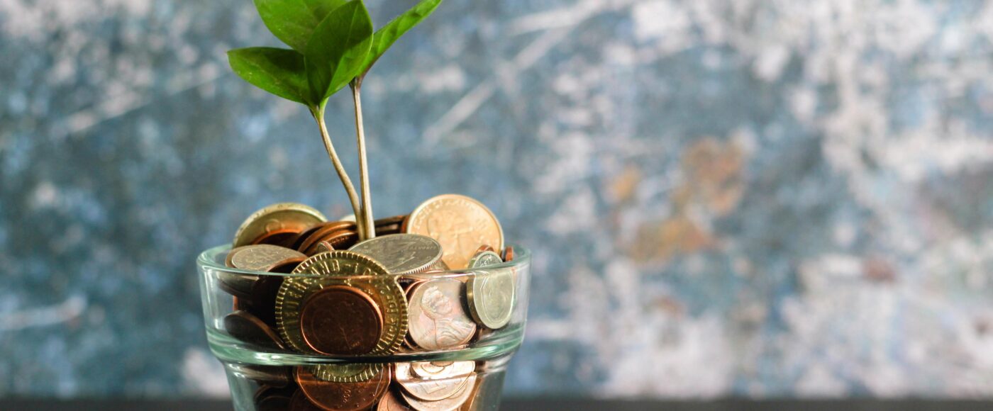 Raising finance concept coins growing in a plant pot