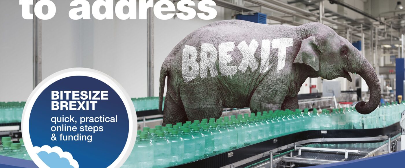 ITI BITESIZE BREXIT IMAGEV2