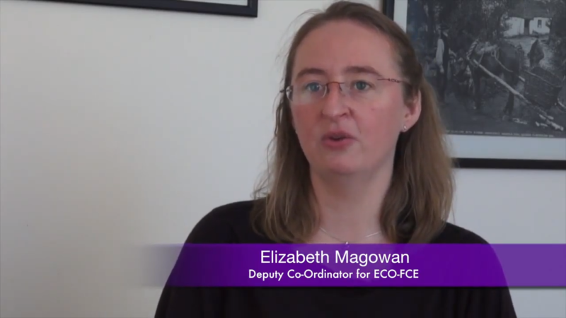 Inter Tradeireland FP7 Case study video ECO FCE 0 16 screenshot