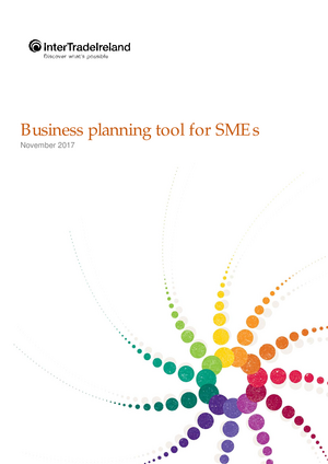 Business Plan Tool For Established SMEs