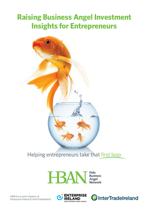 Business Angel Guide for Entrepreneurs 2016